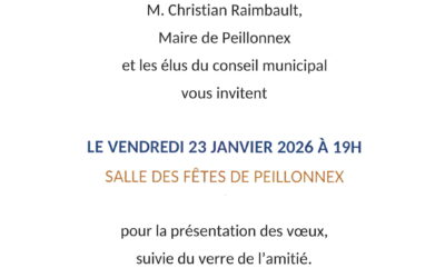 VOEUX 2026